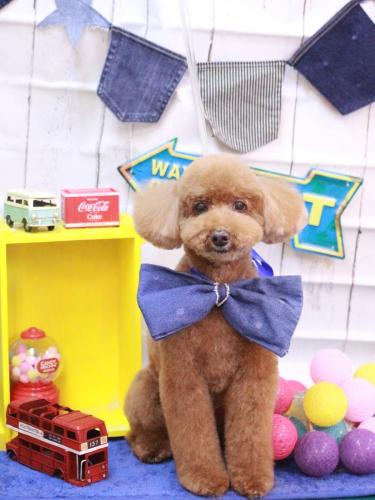 20230402レオくん